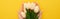 Cropped view of woman holding spring tulips on colorful yellow background, panoramic shot