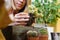 Cropped view of young woman with dirty hands repotting cactuses at home