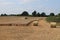 Crops being harvested on a summers day in the UK using a combined harvester