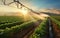 Crops field poster. Irrigation system on agricultural soybean field, rain gun sprinkler helps to grow plants in the dry season,