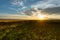 Crops in the hungarian countryside after a refreshing summer rain