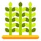 Crops icon. Green plants growing from soil ground