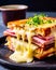 Croque Monsieur is a classic French grilled sandwich