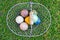 Croquet balls