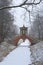The cross-bridge in late autumn. Tsarskoye Selo