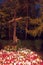 Cross with candles on Polish cemetery during All Souls` Day at night.