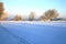 Cross-country ski track and winter meadow