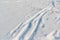 Cross country ski tracks in freshly fallen snow