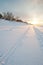 Cross country ski tracks at seaside