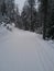 Cross country ski trails