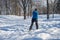 Cross-Country Skier on Mont Royal in winter