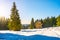 Cross-country skiing in Jizera Mountains