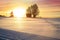 Cross country skiing. A magical start to a new day  in the meadows of the Stolowe Mountains National Park in Poland.