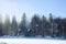 Cross-country skiing trails. Winter forest covered with snow.