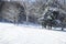 Cross-country skiing trails. Winter forest covered with snow. Na