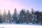 Cross-country skiing trails. Winter forest covered with snow. Na