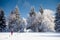 Cross-country skiing: young man cross-country skiing