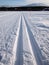 Cross-country tracks in fresh snow