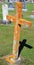 Cross and grave