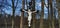Cross and Jesus Christ statue on forest background. Religious symbol. Catholicism and Christianity.Monuments and statues