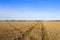 Cross lines in straw stubble