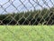 Cross link metallic wire fence with beautiful scenic background. Fence on green grass