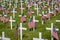 Cross Military Grave Markers decorated with American flags for Memorial Day