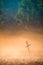 Cross in a misty field forest countryside