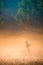 Cross in a misty field forest countryside