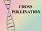 CROSS POLLINATION concept