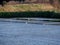 Cross in the salt marshes.