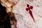 Cross of Santiago in red paint on a rock in a religious cave