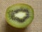 Cross section detail of Kiwi