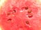Cross section detail of red watermelon