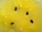 Cross section detail of yellow watermelon