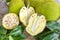 Cross-section of giant Jack-fruit.