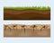 Cross section ground slice some piece nature outdoor ecology underground and freestanding render garden natural