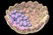 Cross-section of human blastocyst showing inner mass and trophoblast layers