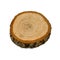 Cross section of oak tree, top view. Wood textures. Tree trunk close-up.