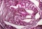 Cross section of red cabbage background