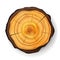 Cross Section Tree Wooden Stump Vector. Trunk Stump. Isolated Illustration.