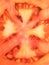 Cross shape section of a vivid sliced tomato