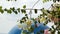 Cross standing on blue church dome, branches blooming in front, Greece tourism