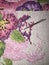 Cross stitch flowers