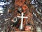 Cross on a tree