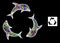 Crossed Mesh Dolphin Trio Icon with Multicolored Flares