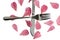 Crossed silver fork and knife with rose petals