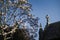 The crosses of the ancient crypt against a background of blooming magnolia against the blue sky.