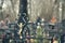 Crosses in the cemetery. Gloomy place of burial of people