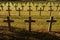 Crosses at French soldiers cemetery